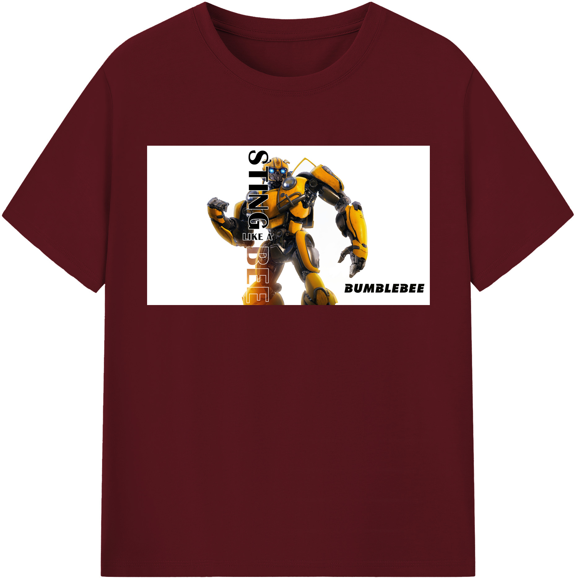 （画像用）  綿100％半袖Tシャツ（フロントプリント）
